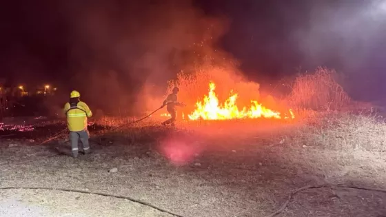 Equipos de emergencia trabajan intensamente para sofocar incendios