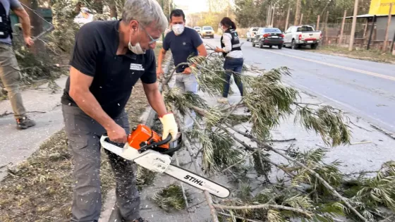 El Gobierno de la Provincia continúa con el amplio operativo por incendios de pastizales