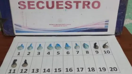 La Policía de Salta secuestró más de 8000 dosis de droga en más de 100 procedimientos