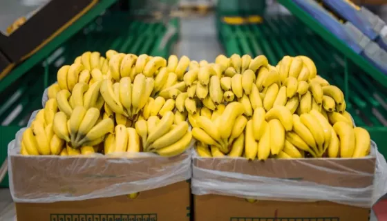 Salta solicitó a Nación una reunión para analizar la nueva normativa bananera