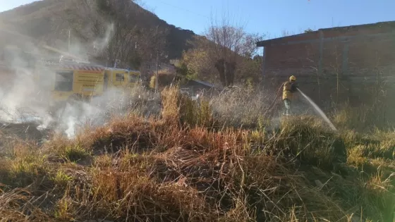 La Brigada Forestal trabajó en distintas zonas por incendios de pastizales