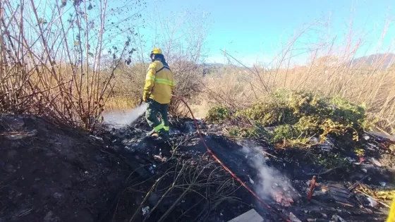 La Brigada Forestal trabajó en distintas zonas por incendios de pastizales