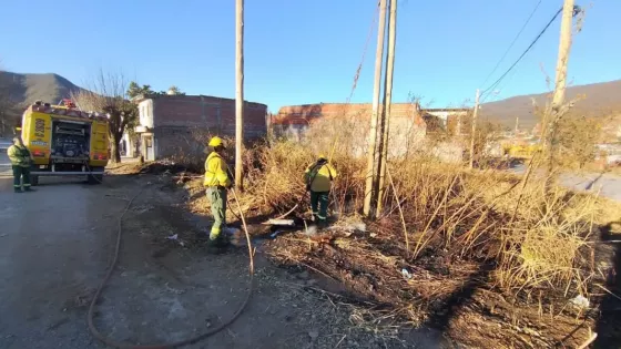 La Brigada Forestal trabajó en distintas zonas por incendios de pastizales