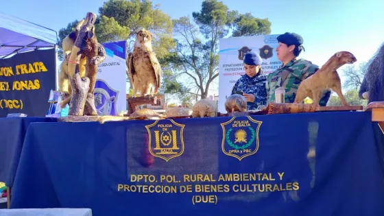 Jornada interinstitucional en barrio Ceferino promovió la prevención y la cercanía con los vecinos
