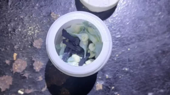 Se incautaron más de 190 kilos de droga en distintos procedimientos en la provincia