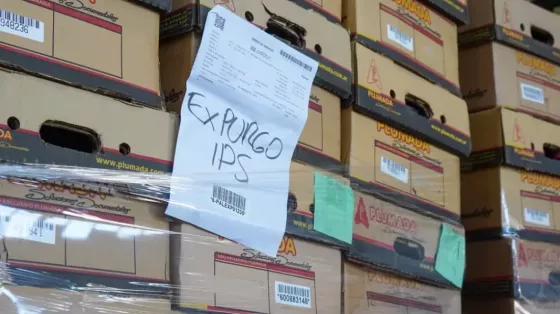 El Archivo Central realizó uno de los mayores expurgos documentales de los últimos años