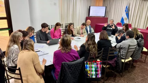 Salta inició la elaboración del Plan Provincial para la Salud Mental de Adolescentes