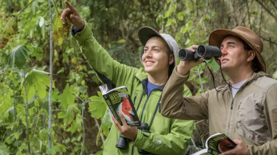 Con una agenda federal y conectividad récord, Salta recibió a más de 267.000 turistas