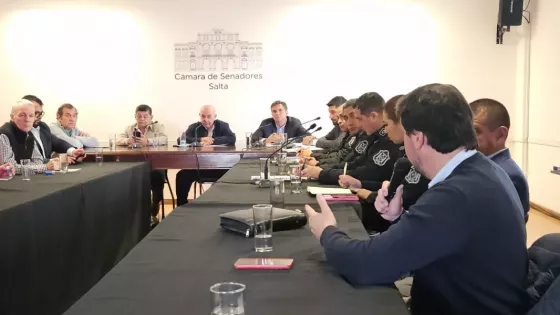 Senadores se interiorizaron sobre el Plan Estratégico e Integral de Seguridad