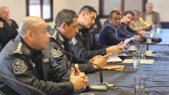 Senadores se interiorizaron sobre el Plan Estratégico e Integral de Seguridad