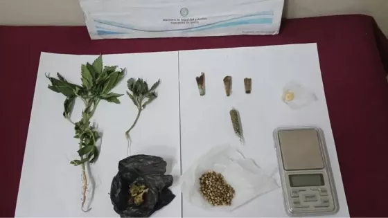 La Policía de Salta secuestró más de 2500 dosis de estupefacientes en múltiples operativos