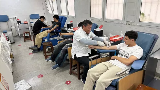 Salta fortalece la seguridad transfusional con un nuevo sistema de trazabilidad de la sangre