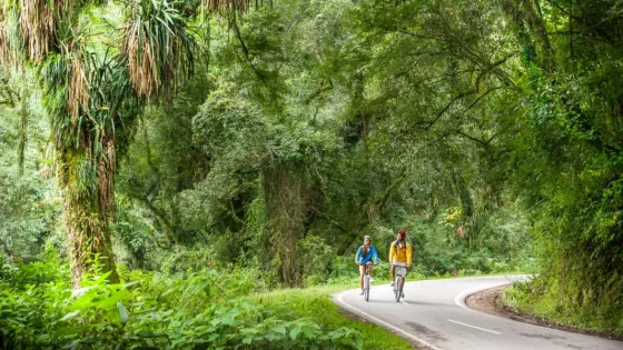 Naturaleza, altura y adrenalina: la experiencia de explorar Salta sobre dos ruedas
