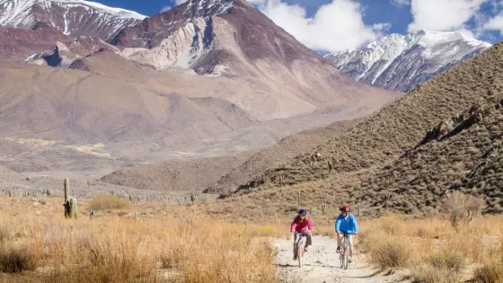 Naturaleza, altura y adrenalina: la experiencia de explorar Salta sobre dos ruedas