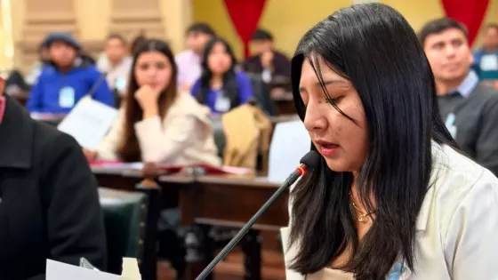 Jóvenes salteños participaron de una jornada de formación legislativa y simulación parlamentaria