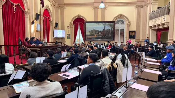 Jóvenes salteños participaron de una jornada de formación legislativa y simulación parlamentaria