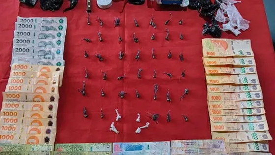 Se incautaron más de 10 mil dosis de droga en distintos procedimientos policiales