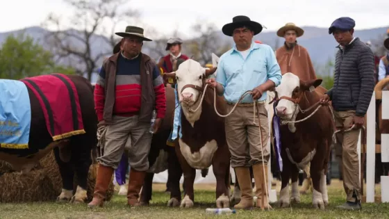 La Expo Rural cerró con 19 mil cabezas vendidas y más de $100 millones en operaciones