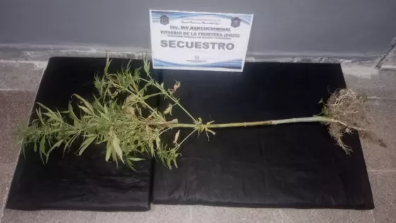 Operativo