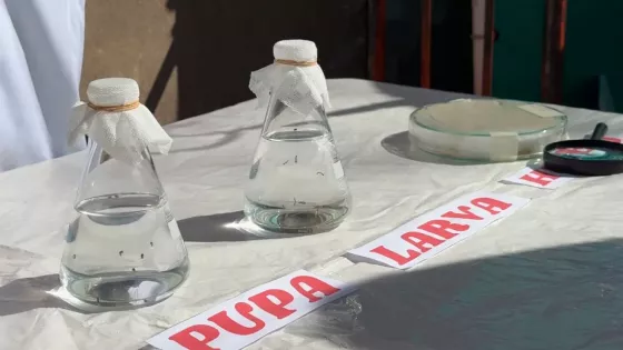Salud promovió la donación de plaquetas y el control de criaderos de mosquitos en el hospital Señor del Milagro