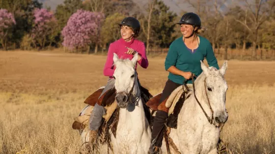 Entre cerros y tradiciones: la magia de descubrir Salta a caballo