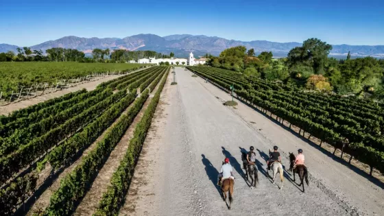 Entre cerros y tradiciones: la magia de descubrir Salta a caballo