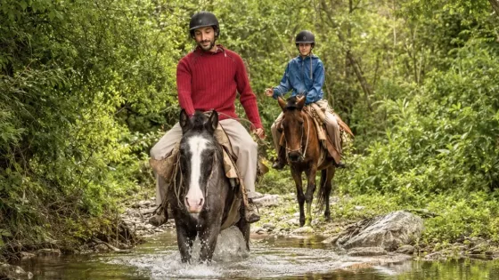 Entre cerros y tradiciones: la magia de descubrir Salta a caballo
