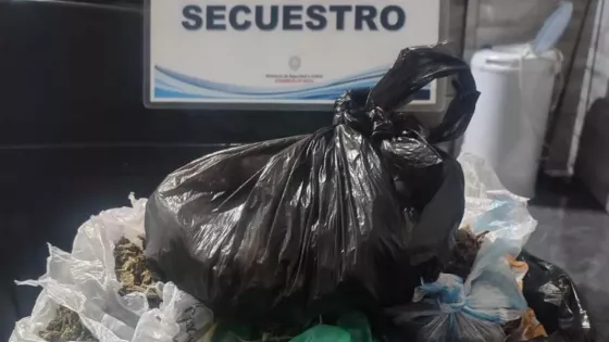 La Policía de Salta realizó más de 100 procedimientos antidrogas en toda la provincia