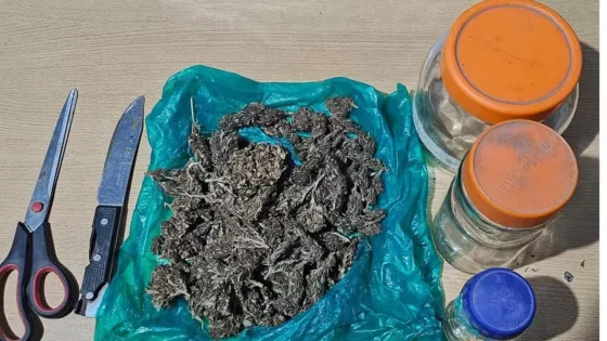 La Policía de Salta realizó más de 100 procedimientos antidrogas en toda la provincia
