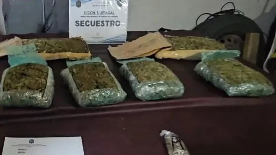Secuestran más de 12 mil dosis de marihuana en Tartagal