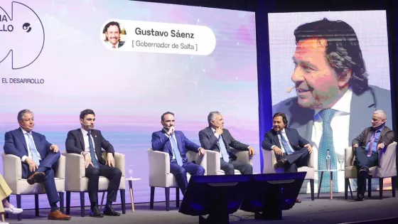 Sáenz en el ciclo Democracia y Desarrollo
