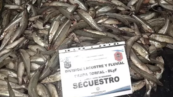 Lacustre