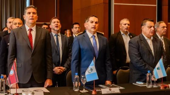 Salta participó en el Tercer Consejo de Seguridad Interior