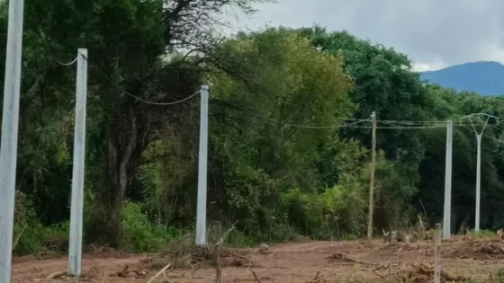 Obra para suministrar con energía eléctrica a 188 lotes de Coronel Moldes