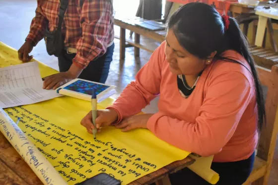 co-construcción de los lineamientos curriculares del pueblo diaguita kallchakí