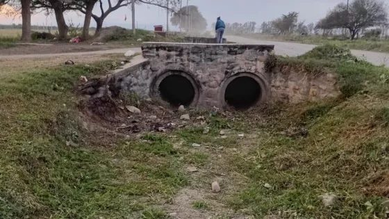 Limpieza