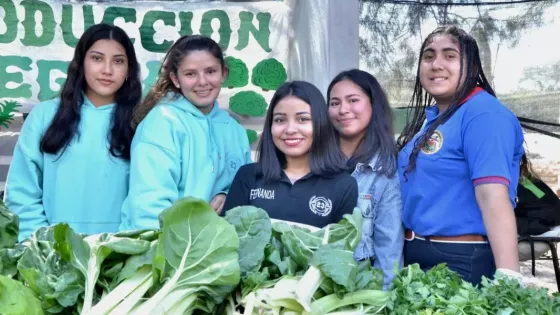 Antillas será sede de la Expo Técnica de la Región Sur