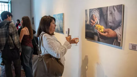 La vendimia calchaquí se exhibe a través de una muestra fotográfica