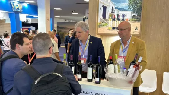 La industria vitivinícola salteña se destaca en la feria ProWine en Brasil