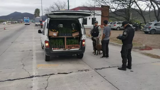 La Policía realizó controles preventivos en rutas y accesos a la provincia de Salta
