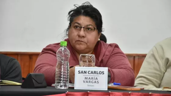 El Comité de Emergencia Climática coordinó acciones preventivas con intendentes del Valle Calchaquí