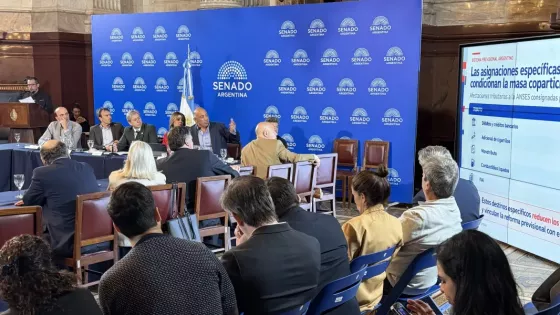 Salta presentó en el Senado de la Nación una propuesta complementaria al régimen de coparticipación