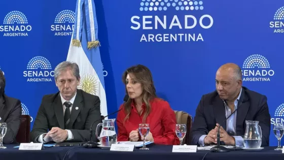 Salta presentó en el Senado de la Nación una propuesta complementaria al régimen de coparticipación