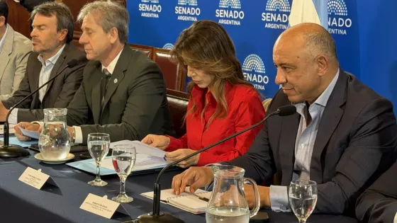 Salta presentó en el Senado de la Nación una propuesta complementaria al régimen de coparticipación