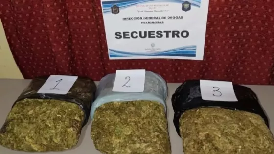 La Policía secuestró más de 79 mil dosis de droga en 145 procedimientos en Salta