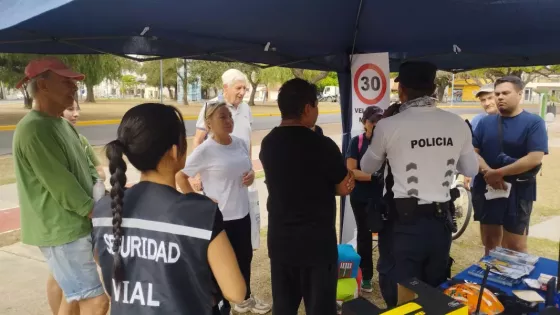 Seguridad vial