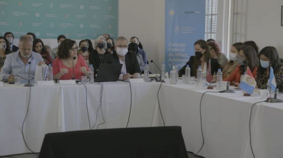 Salta integró la 42° sesión del Consejo Federal de Niñez