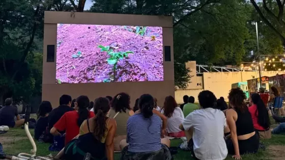 Cine en la Usina: Suerte de pinos y La noche sin mí en la próxima fecha de 