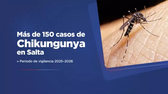 Salta registra más de 150 casos confirmados de chikungunya en lo que va del período de vigilancia 2025–2026