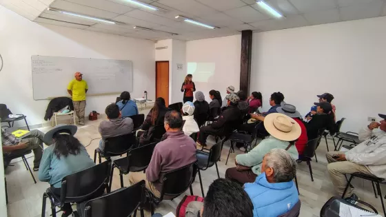 Salta trabaja en el manejo sustentable de la vicuña junto a comunidades de la Puna